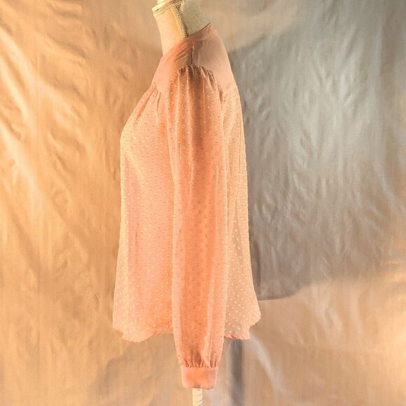 Ann Taylor Shear Pink Textured Button Down Long Sleeve Blouse XS - Picture 4 of 11